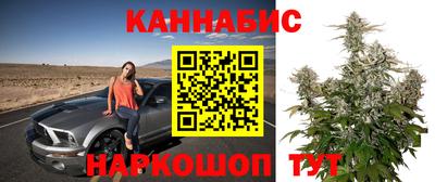 дмт Гусев