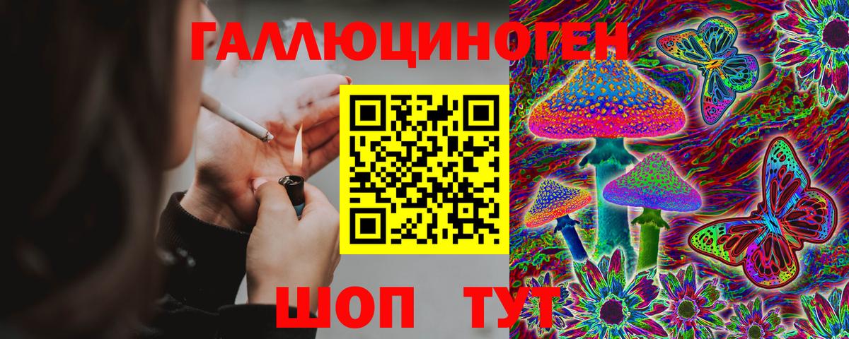 Псилоцибиновые грибы Psilocybine cubensis  Вход с VPN  Кумертау  Галлюциногенные грибы GOLDEN TEACHER 